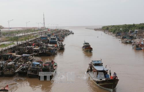 Chuẩn bị sẵn sàng lực lượng, phương tiện chủ động ứng phó bão Tembin ảnh 1